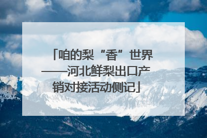 咱的梨“香”世界——河北鲜梨出口产销对接活动侧记