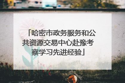 哈密市政务服务和公共资源交易中心赴豫考察学习先进经验