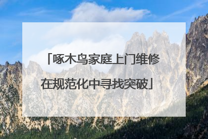 啄木鸟家庭上门维修在规范化中寻找突破