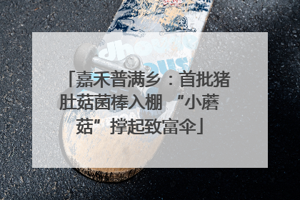 嘉禾普满乡：首批猪肚菇菌棒入棚 “小蘑菇”撑起致富伞