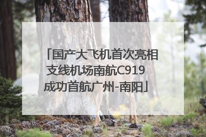 国产大飞机首次亮相支线机场南航C919成功首航广州-南阳
