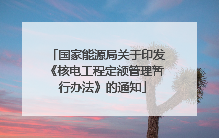 国家能源局关于印发《核电工程定额管理暂行办法》的通知