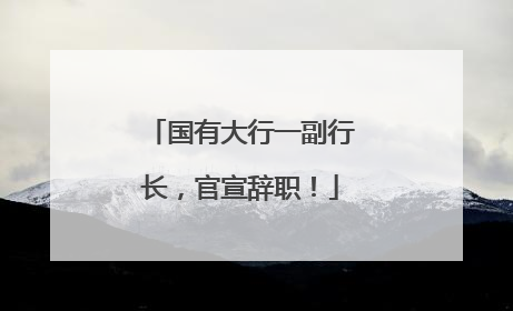 国有大行一副行长，官宣辞职！