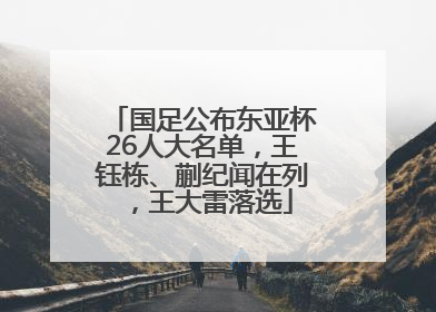 国足公布东亚杯26人大名单，王钰栋、蒯纪闻在列，王大雷落选