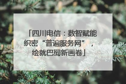 四川电信：数智赋能织密“普遍服务网”，绘就巴蜀新画卷