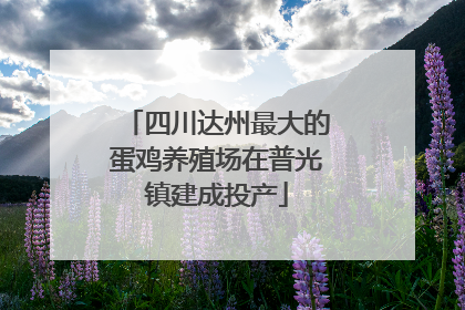 四川达州最大的蛋鸡养殖场在普光镇建成投产