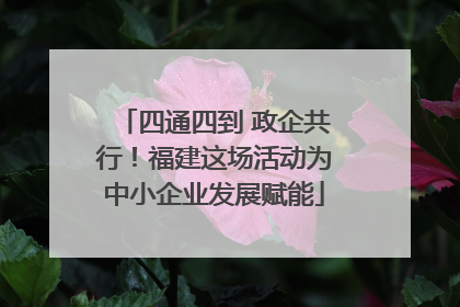 四通四到 政企共行！福建这场活动为中小企业发展赋能