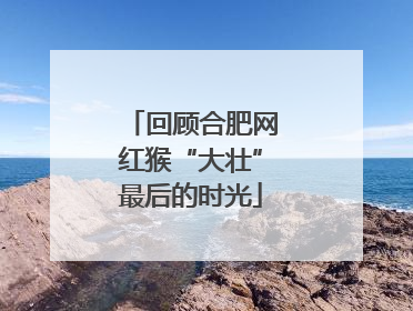 回顾合肥网红猴“大壮”最后的时光