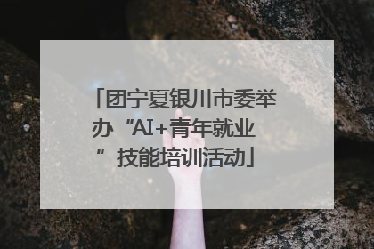 团宁夏银川市委举办“AI+青年就业”技能培训活动