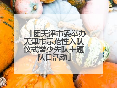 团天津市委举办天津市示范性入队仪式暨少先队主题队日活动