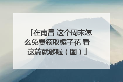 在南昌 这个周末怎么免费领取栀子花 看这篇就够啦（图）