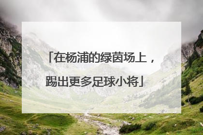 在杨浦的绿茵场上，踢出更多足球小将