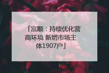 富顺：持续优化营商环境 新增市场主体1907户