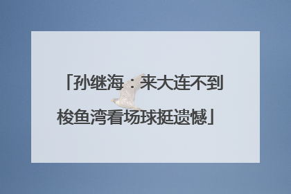 孙继海：来大连不到梭鱼湾看场球挺遗憾