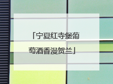 宁夏红寺堡葡萄酒香漫贺兰