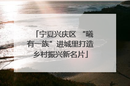 宁夏兴庆区 “曦有一族”进城里打造乡村振兴新名片