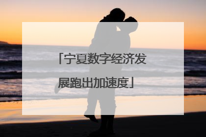 宁夏数字经济发展跑出加速度