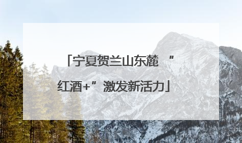 宁夏贺兰山东麓 “红酒+”激发新活力