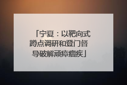 宁夏：以靶向式蹲点调研和登门督导破解顽瘴痼疾
