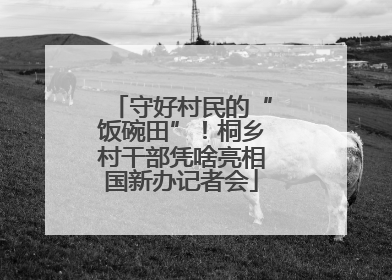 守好村民的“饭碗田”！桐乡村干部凭啥亮相国新办记者会