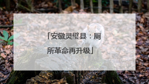 安徽灵璧县：厕所革命再升级