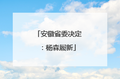 安徽省委决定：杨森履新