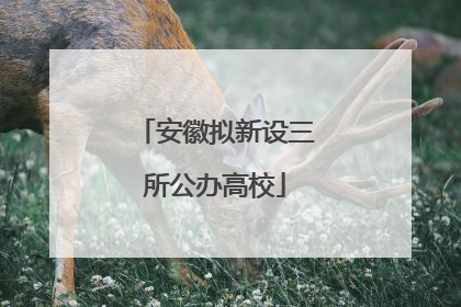 安徽拟新设三所公办高校