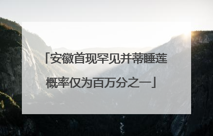 安徽首现罕见并蒂睡莲 概率仅为百万分之一