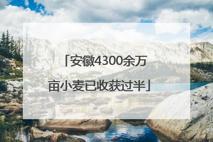 安徽4300余万亩小麦已收获过半