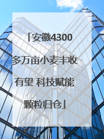 安徽4300多万亩小麦丰收有望 科技赋能颗粒归仓