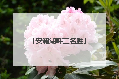 安澜湖畔三名胜