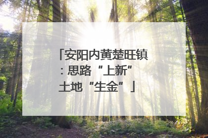 安阳内黄楚旺镇：思路“上新” 土地“生金”