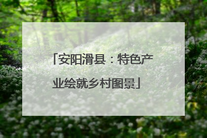 安阳滑县：特色产业绘就乡村图景