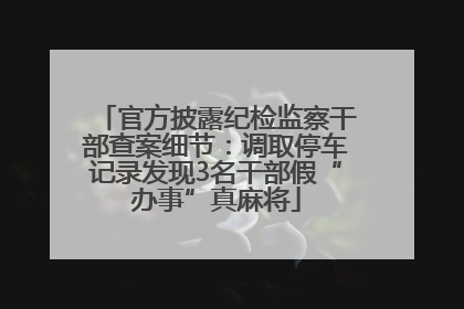 官方披露纪检监察干部查案细节：调取停车记录发现3名干部假“办事”真麻将