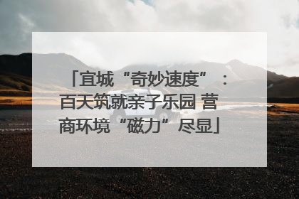 宜城“奇妙速度”：百天筑就亲子乐园 营商环境“磁力”尽显