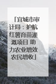 宜城市审计局：护航红薯育苗灌溉项目 助力农业增效农民增收