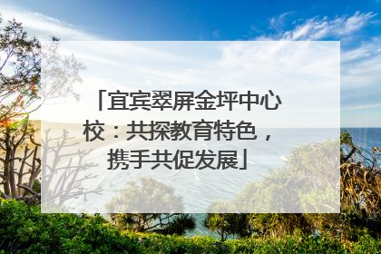 宜宾翠屏金坪中心校：共探教育特色，携手共促发展