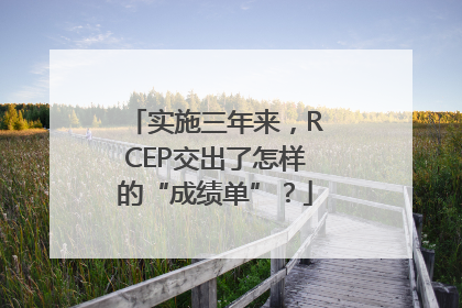 实施三年来，RCEP交出了怎样的“成绩单”？