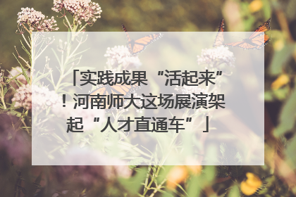 实践成果“活起来”！河南师大这场展演架起“人才直通车”
