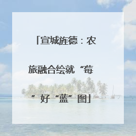 宣城旌德：农旅融合绘就“莓”好“蓝”图