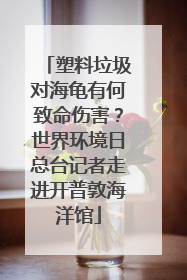 塑料垃圾对海龟有何致命伤害？世界环境日总台记者走进开普敦海洋馆