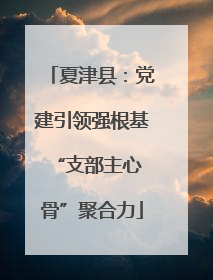夏津县：党建引领强根基 “支部主心骨”聚合力
