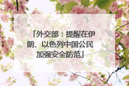外交部：提醒在伊朗、以色列中国公民加强安全防范