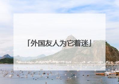 外国友人为它着迷