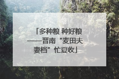 多种粮 种好粮——晋南“麦田夫妻档”忙夏收