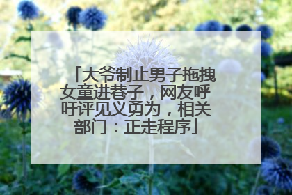 大爷制止男子拖拽女童进巷子，网友呼吁评见义勇为，相关部门：正走程序