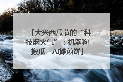 大兴西瓜节的“科技烟火气”：机器狗搬瓜、AI摊煎饼