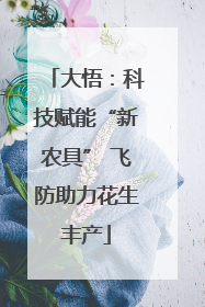 大悟：科技赋能“新农具” 飞防助力花生丰产