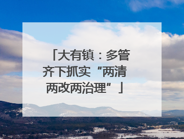 大有镇：多管齐下抓实“两清两改两治理”