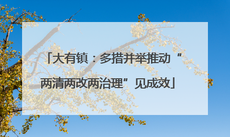 大有镇：多措并举推动“两清两改两治理”见成效